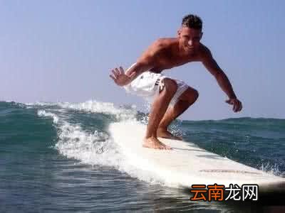 冲浪被鲨鱼袭击怎么办