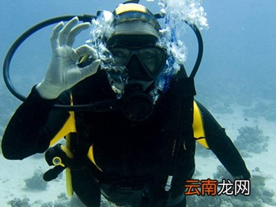 如何使用潜水呼吸器