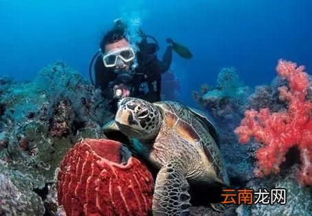 潜水容易得性病吗