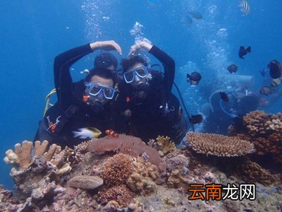 潜水需要会游泳吗