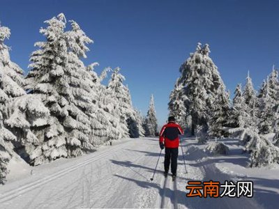 使用双板滑雪怎么交换重心