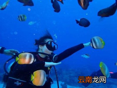 什么是潜水