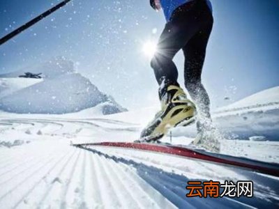 滑雪前要购买哪些保险