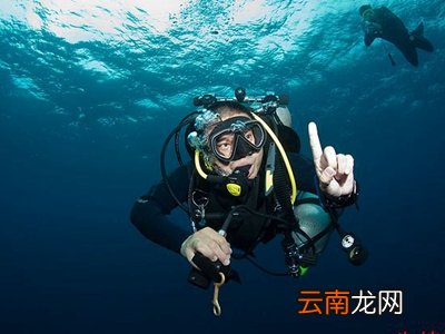 简易潜水呼吸器的原理
