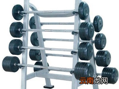 杠铃前平举可以反握吗
