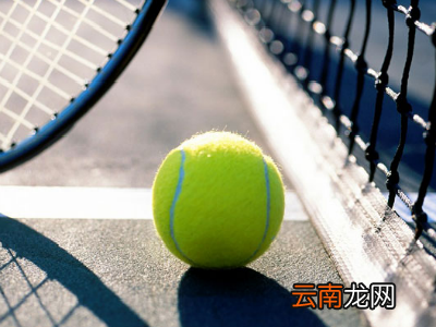打网球该如何合理安全营养素
