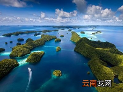 哪里可以学习自由潜水