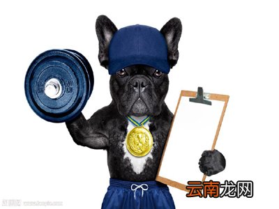 金属哑铃可以飞机托运吗