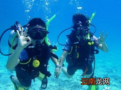 潜水后需要注意什么
