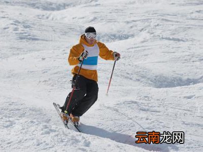 双板滑雪八字刹车法