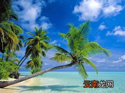 济州岛潜水艇好玩吗