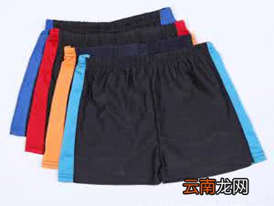 什么牌子的泳裤质量好