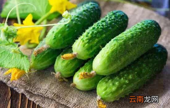 端午节吃五黄的意义 端午节吃哪五黄五红