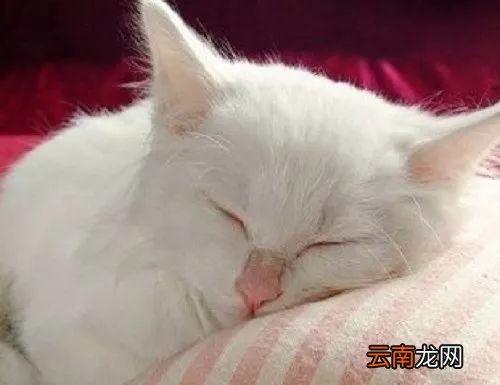 午睡的好处 午睡好处多你知道吗