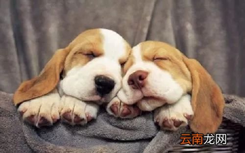 午睡的好处 午睡好处多你知道吗