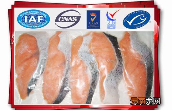 三文鱼怎么解冻 冰鲜三文鱼和冷冻三文鱼有何区别