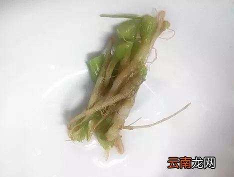 吃香菜有什么好处 香菜根还能美白哟
