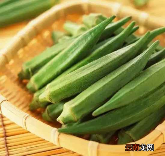 秋葵怎么做好吃又简单 这14种吃法分享给大家