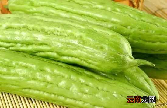 湿气重怎么调理 身体湿气重的原因和解决办法