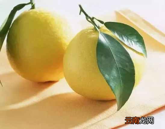 喉咙痛吃什么水果最好 这份清单送给大家