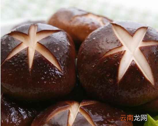 香肠香菇煲仔饭的做法 还不快来上一碗