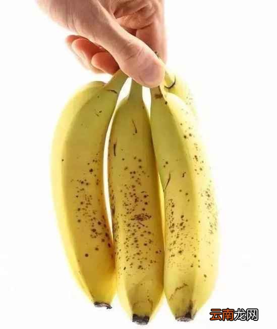 不宜放冰箱的食物 这10种扔掉也不要放冰箱