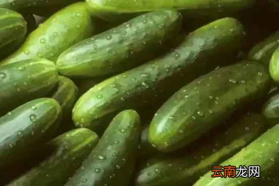 不宜放冰箱的食物 这10种扔掉也不要放冰箱