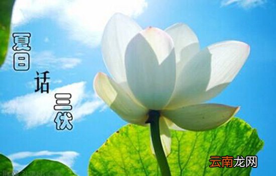 2018年入伏是几月几号 2018年三伏天时间表