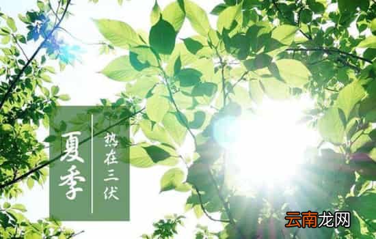 2018年入伏是几月几号 2018年三伏天时间表