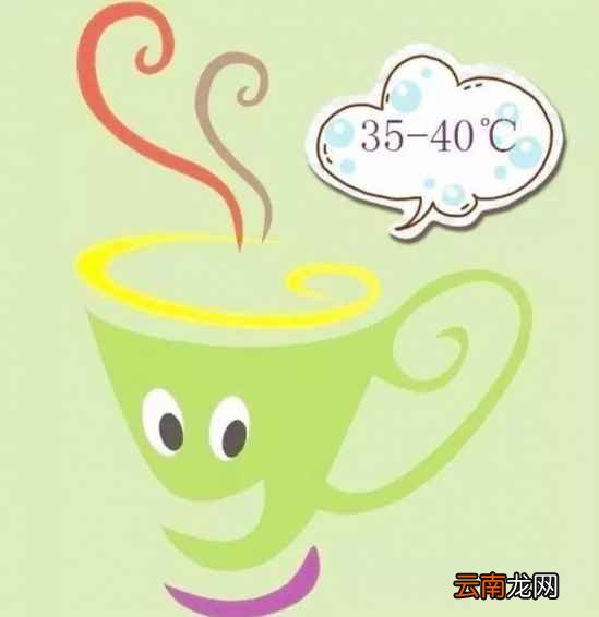 益生菌的作用 益生菌的作用和高效吃法