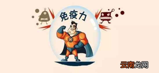 益生菌的作用 益生菌的作用和高效吃法