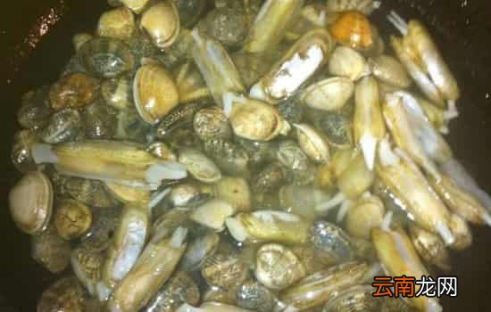 花甲需要用热水烫吗 花甲焯水的4大好处