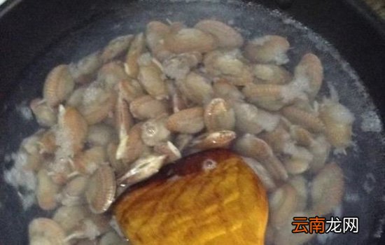 花甲需要用热水烫吗 花甲焯水的4大好处