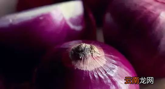 吃什么抗衰老 吃这些老得慢哦