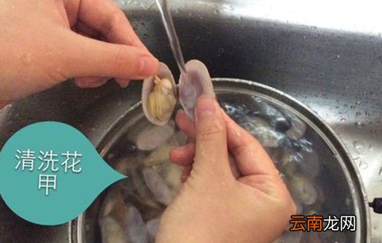 花甲怎么洗最快最干净 快来试试这三招！