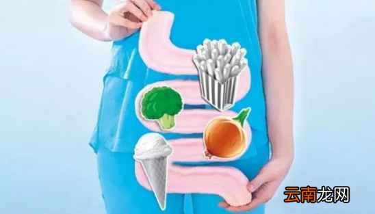 肠道健康的重要性 身体健康要从肠计议