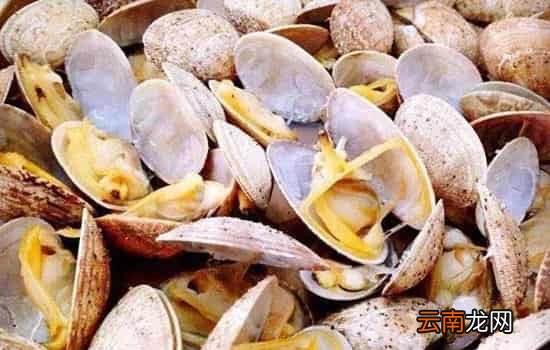 花甲是整个都可以吃吗 理论上不能吃的只有外壳