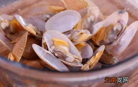 花甲是整个都可以吃吗 理论上不能吃的只有外壳