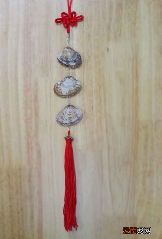 花甲是整个都可以吃吗 理论上不能吃的只有外壳