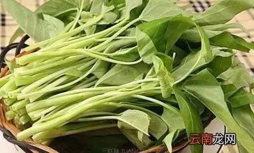 多吃空心菜有什么好处 它可是三高疾病的克星