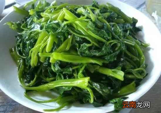 多吃空心菜有什么好处 它可是三高疾病的克星