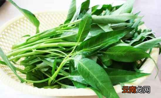 多吃空心菜有什么好处 它可是三高疾病的克星