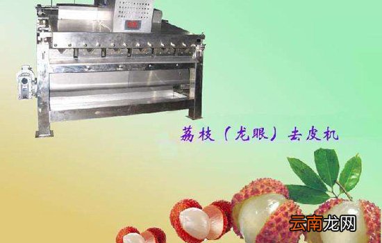 剥荔枝窍门 秒剥荔枝不伤手