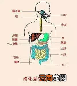 碳酸饮料的危害 你还在让你的孩子和碳酸饮料吗