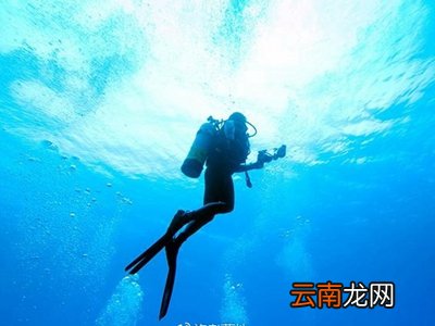 潜水是有氧运动吗