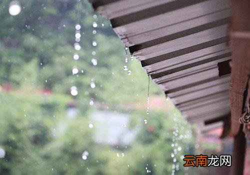雨水干净吗,下雨过后要洗车是误区
