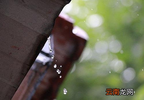 雨水干净吗,下雨过后要洗车是误区
