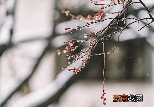 雨水干净吗,下雨过后要洗车是误区