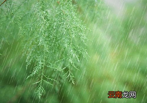 雨水干净吗,下雨过后要洗车是误区
