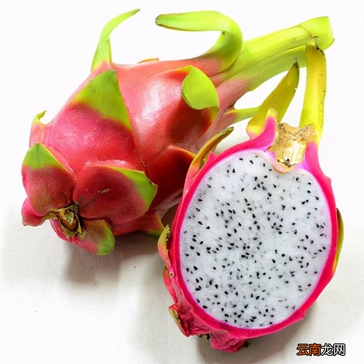 红心火龙果和白火龙果哪个好 红心火龙果的功效与作用